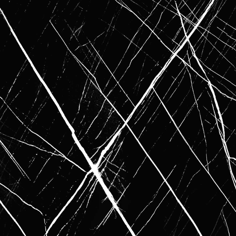 The Primary Eloquence (1)